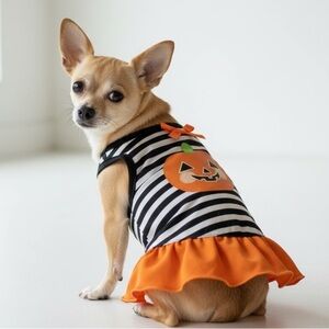 Striped Halloween Pumpkin Dog Dress